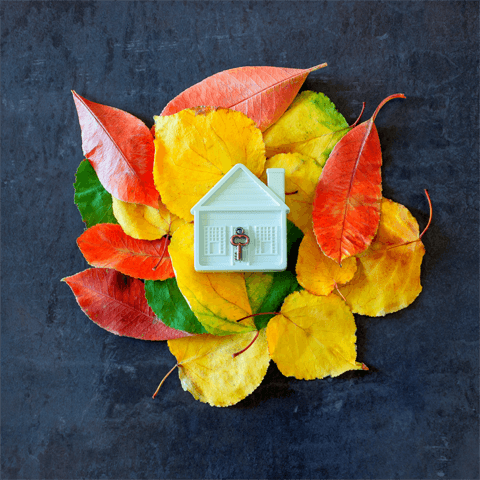 small model of a house on autumn leaves