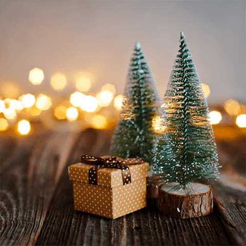 christmas gifts and christmas pines