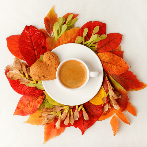 cup of tea autumn leaves and a biscuit