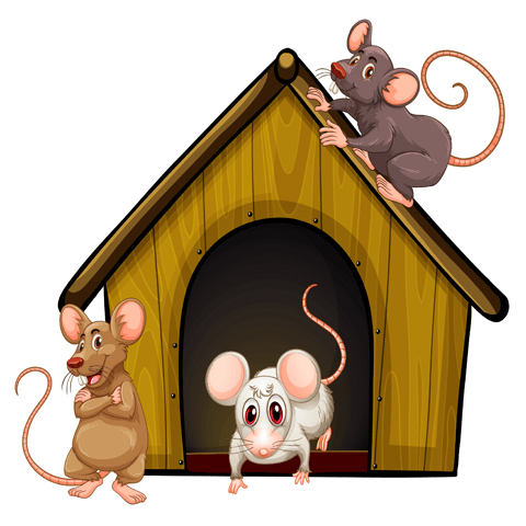 mice in their new house