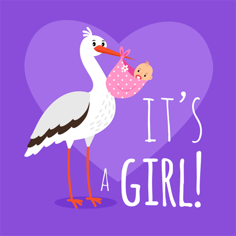 stork delivering a baby girl