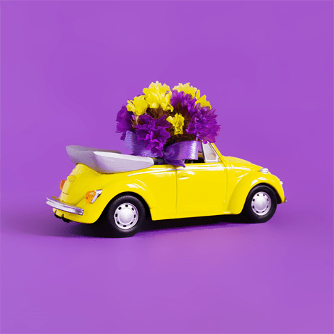 flowers in a volkswagen beetle car