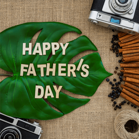 happy father's day message on a big leaf