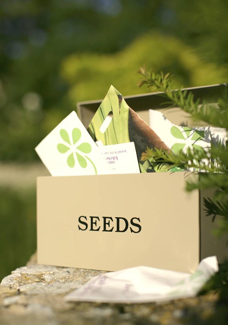 Cream seed box with the lid open showing packets of seed contained inside