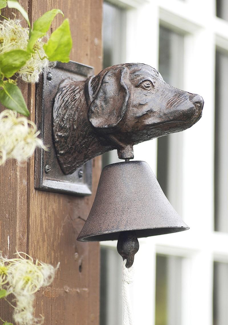 Cast iron dark brown dogs head (labrador type) doorbell fixed to wooden door. The bell with a rope pull is under the dog's head.
