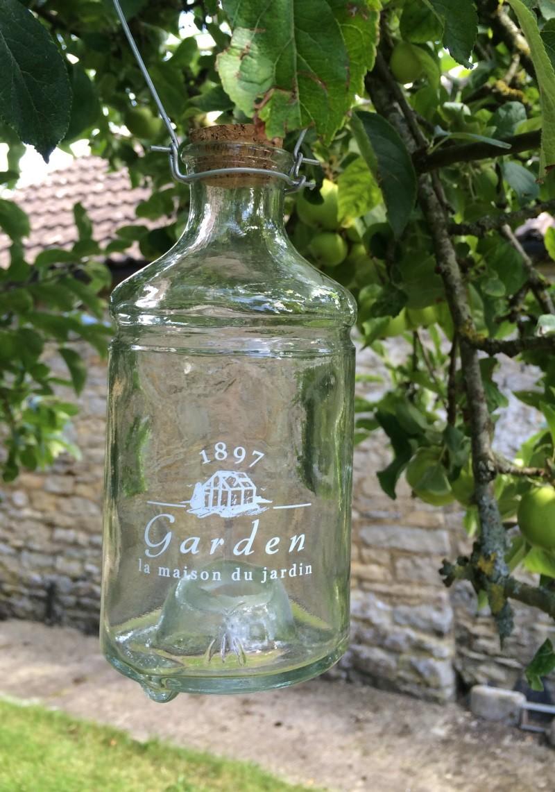 Clear glass, bottle shaped, wasp trap with a cork hanging from a tree.