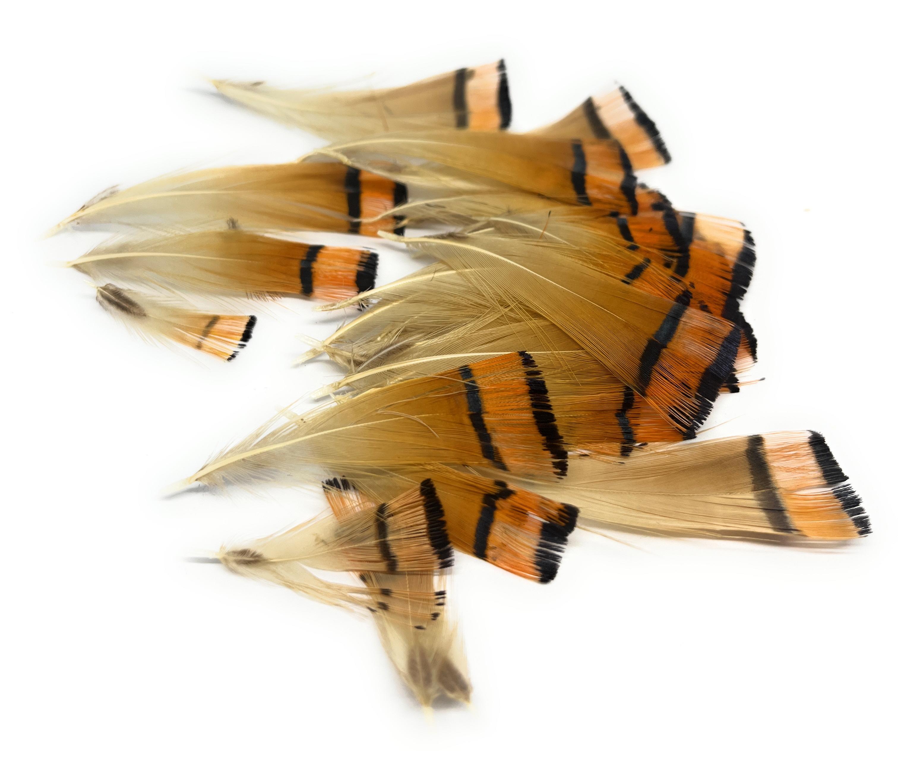 Natural Pack of Golden Pheasant  Tippet Feathers
