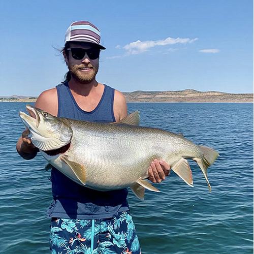 Largest Lake Trout Caught : 72 pounds