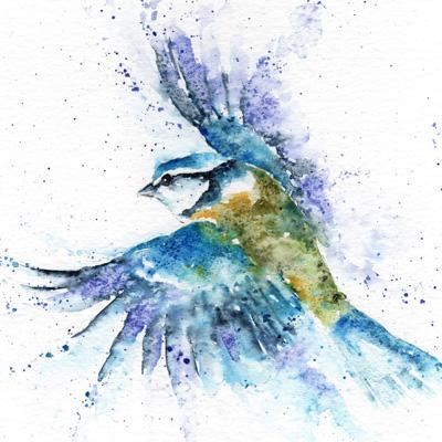 kingfisher watercolour painting