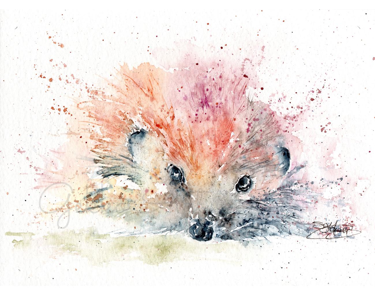 hedgehog detail