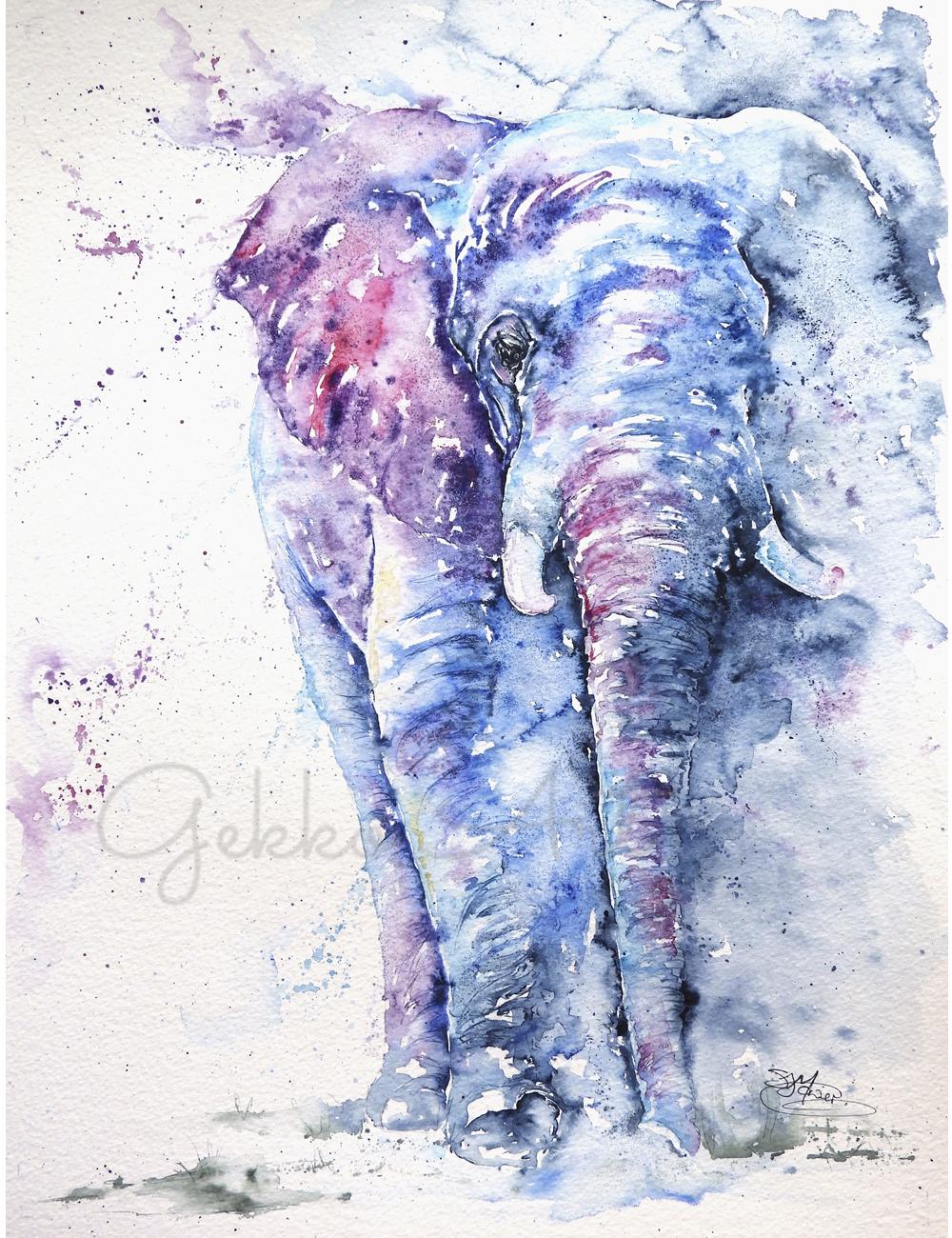 elephant print