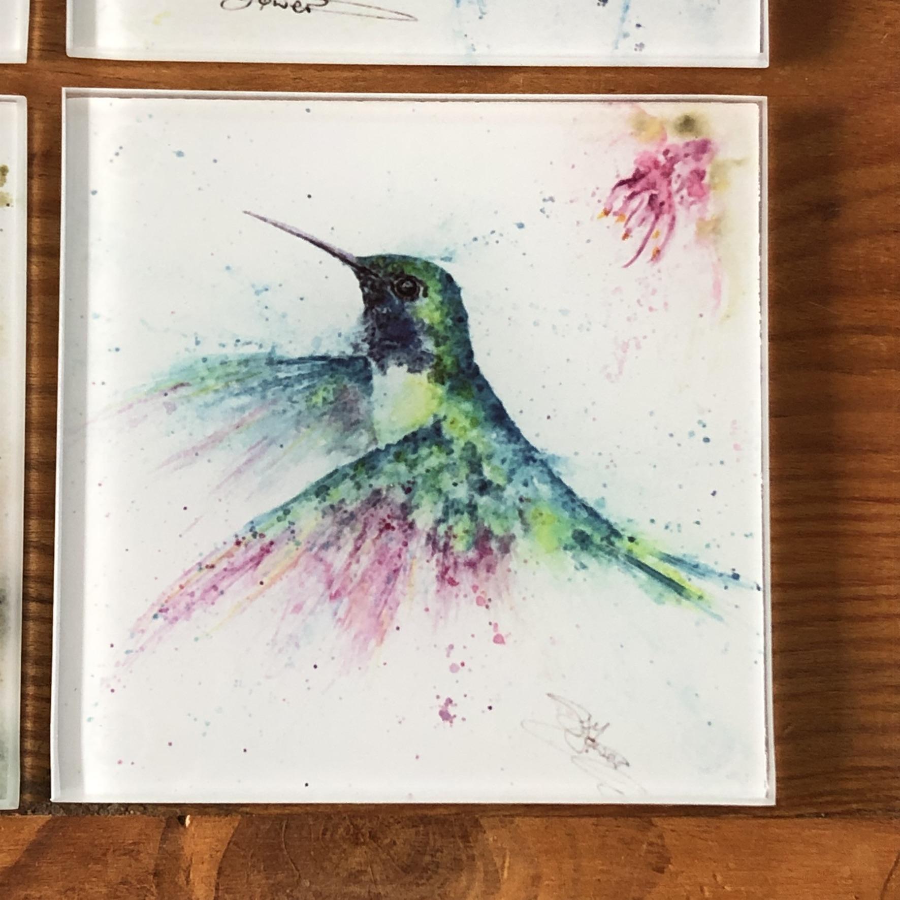 black-chinned hummingbird coaster