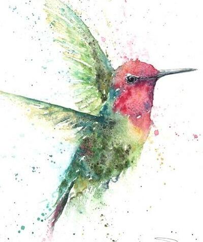 hummingbird watercolour
