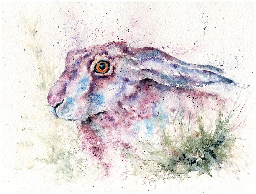 hare watercolour
