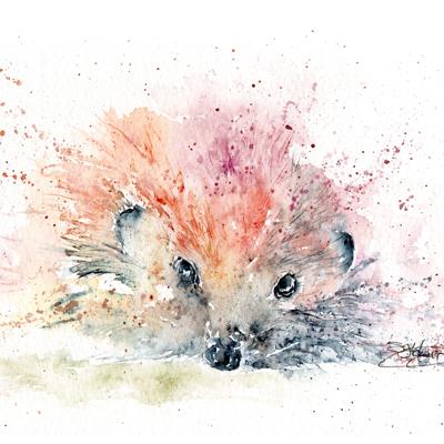 Hedgehog watercolour painting