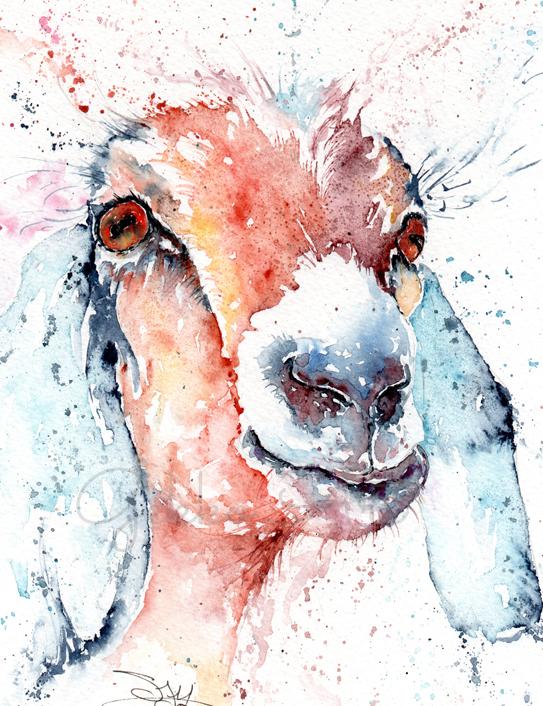 goat watercolour