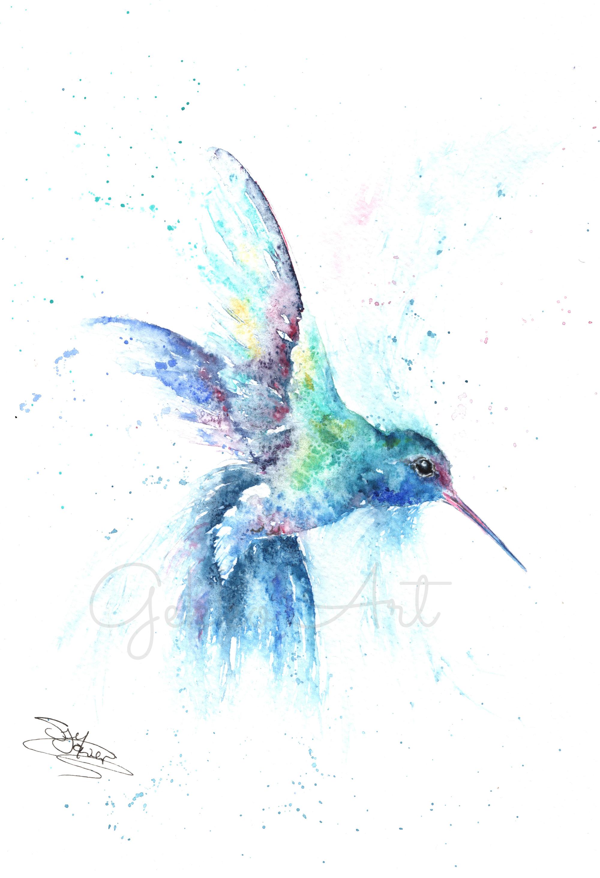 hummingbird watercolour