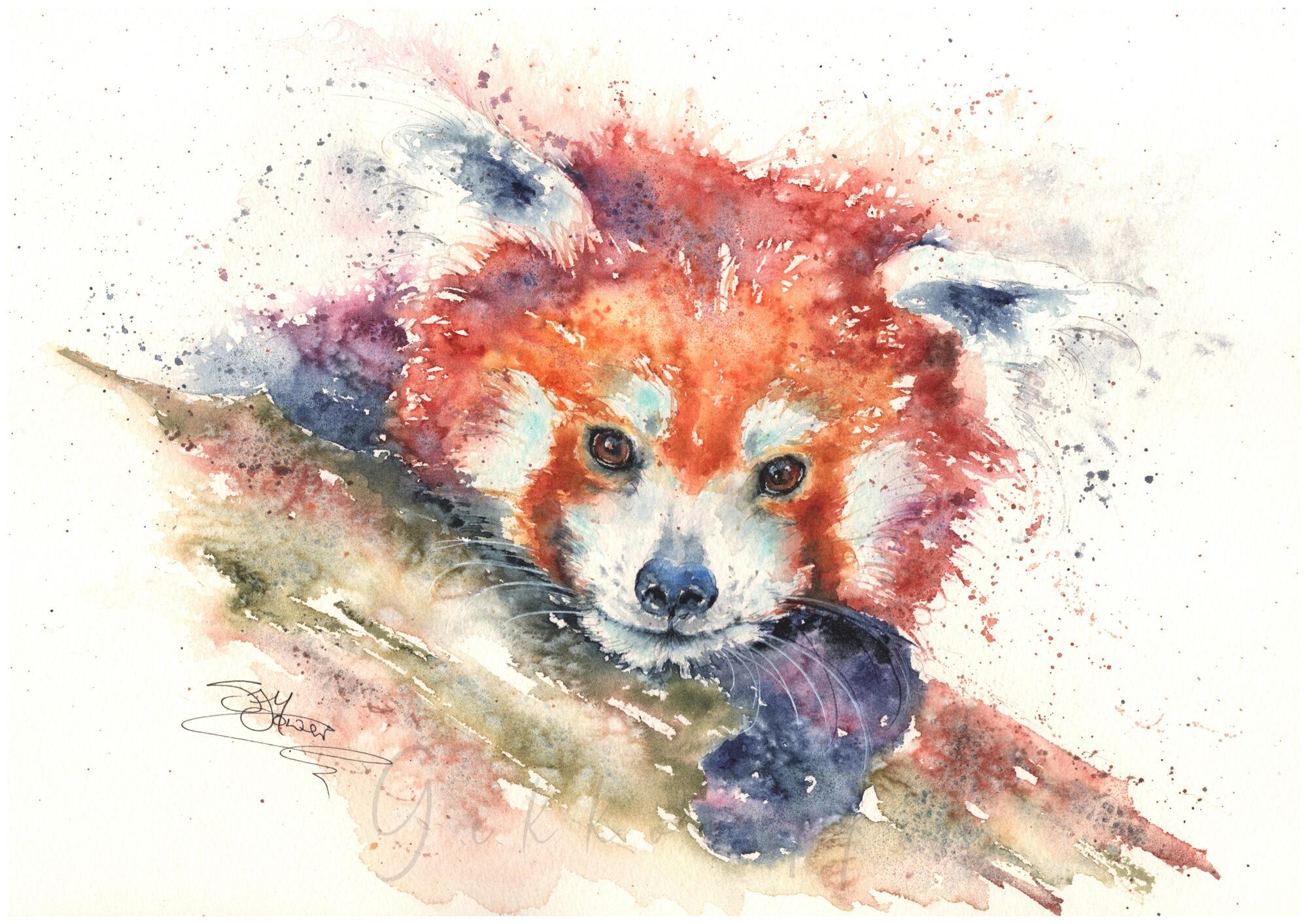 red panda watercolour