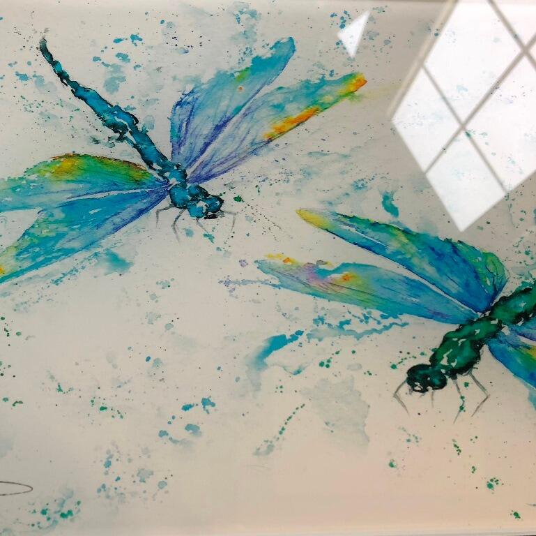 glass dragonfly splashback