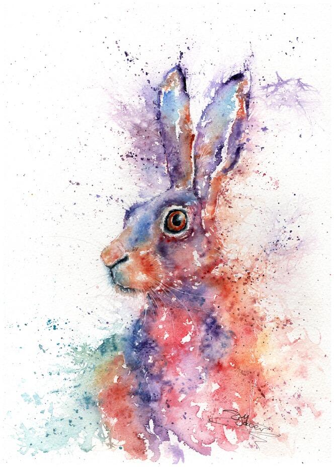 lupin hare watercolour