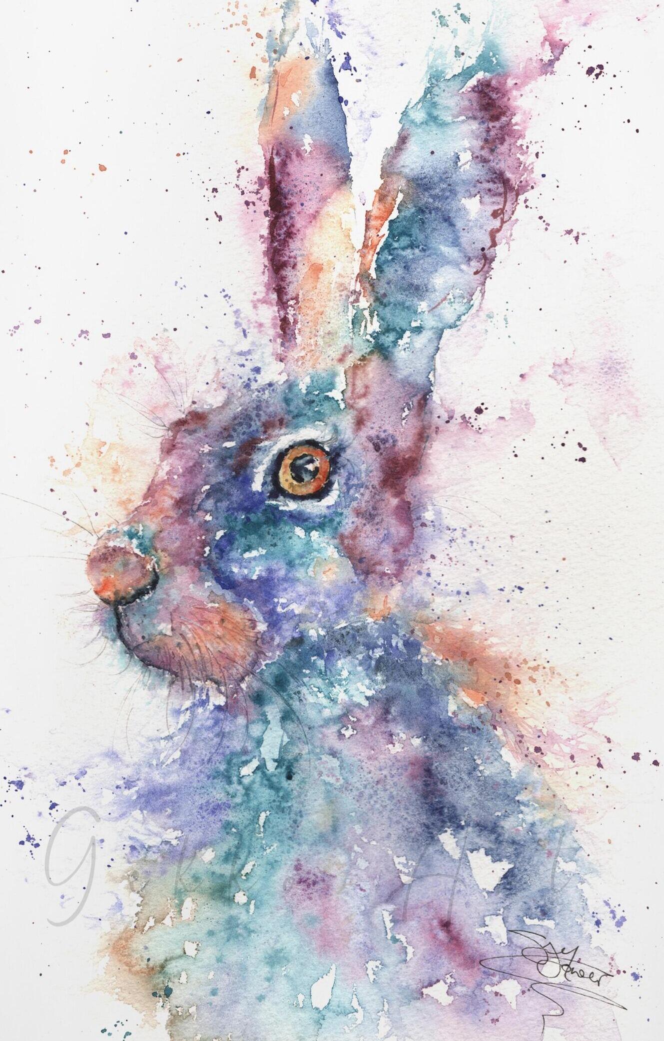 colourful hare in frame