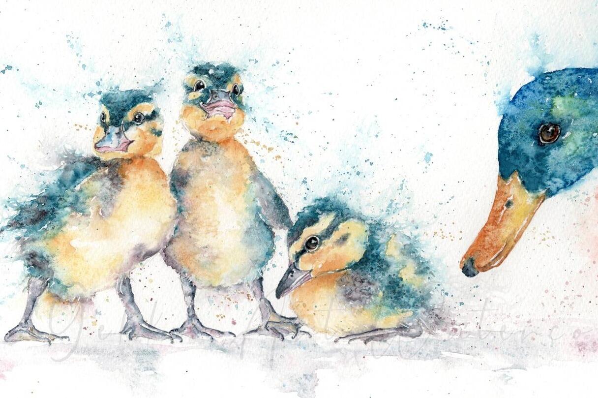 duck watercolour