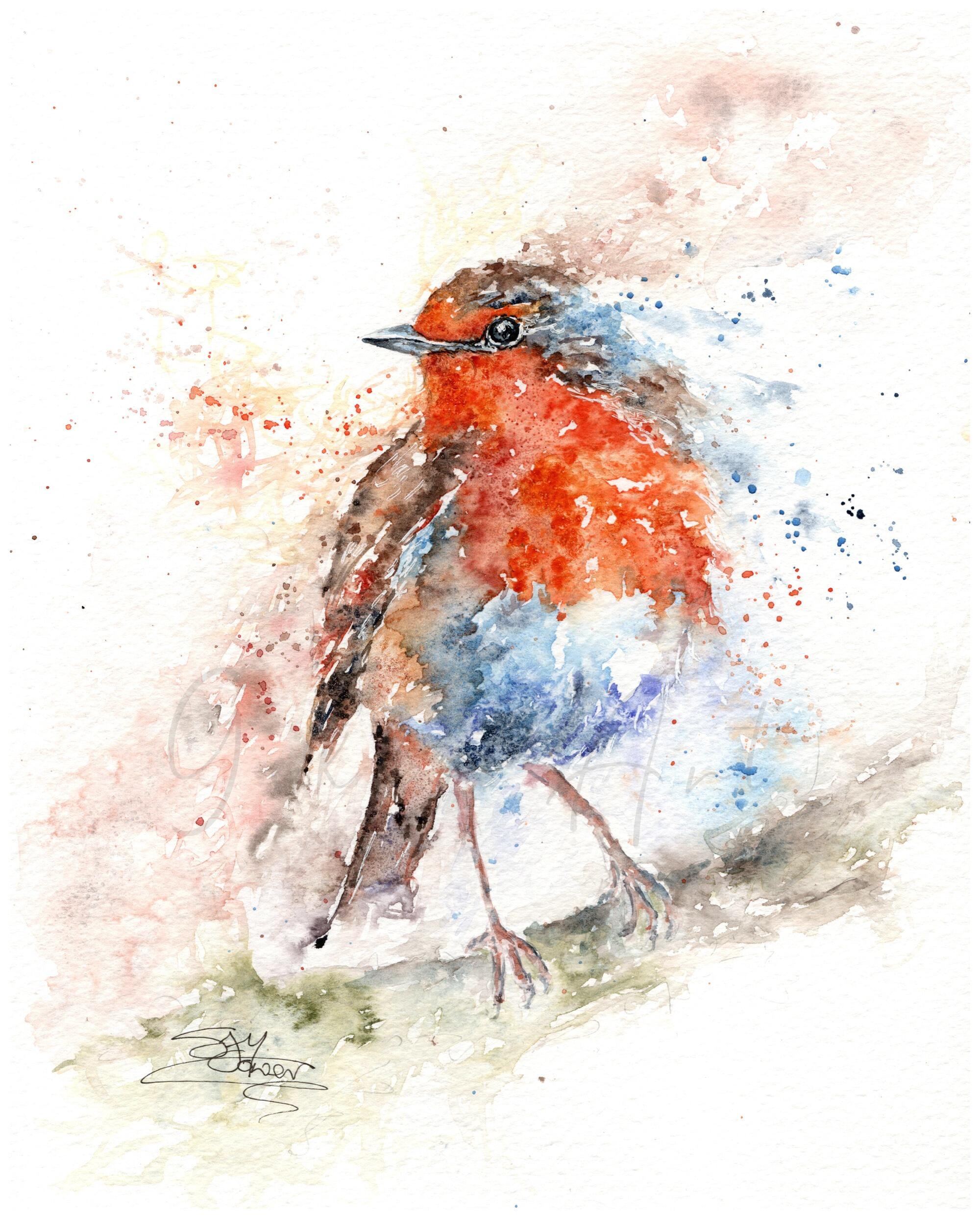 robin watercolour