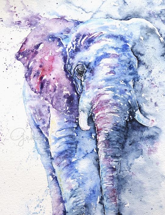 elephant watercolour