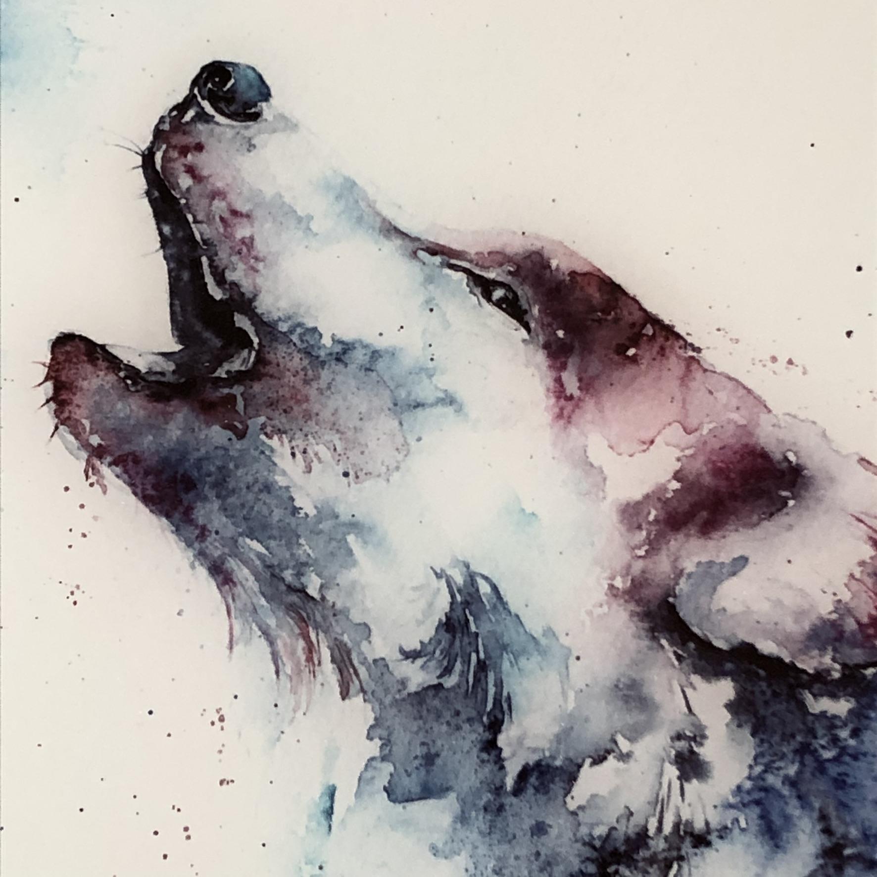 wolf detail