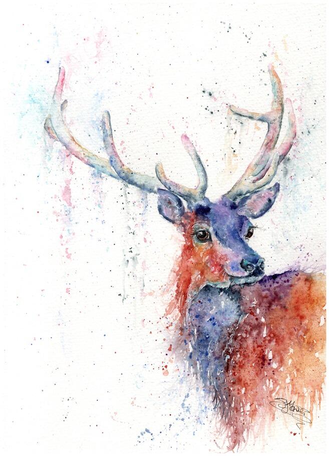 stag watercolour