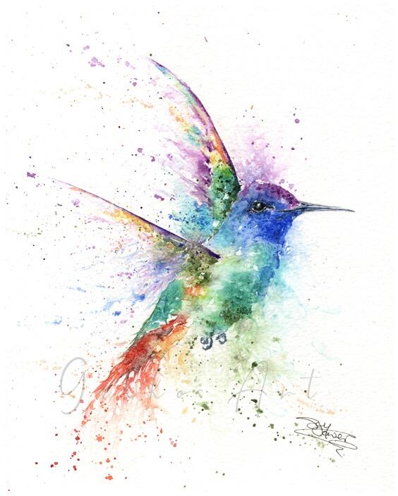 golden-tailed sapphire hummingbird