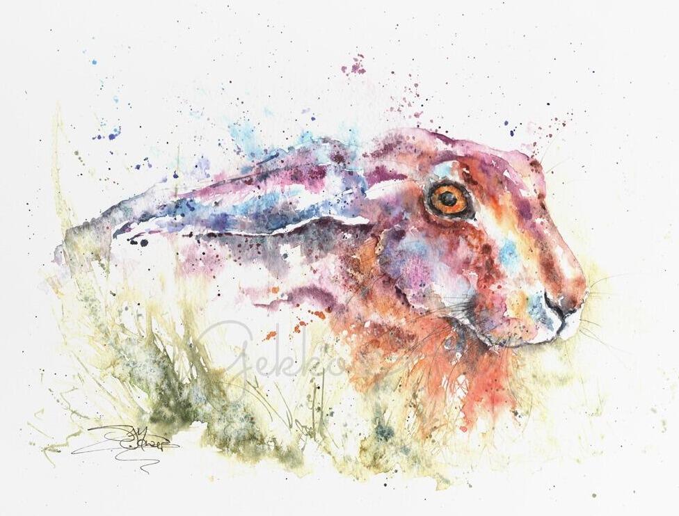 hare watercolour