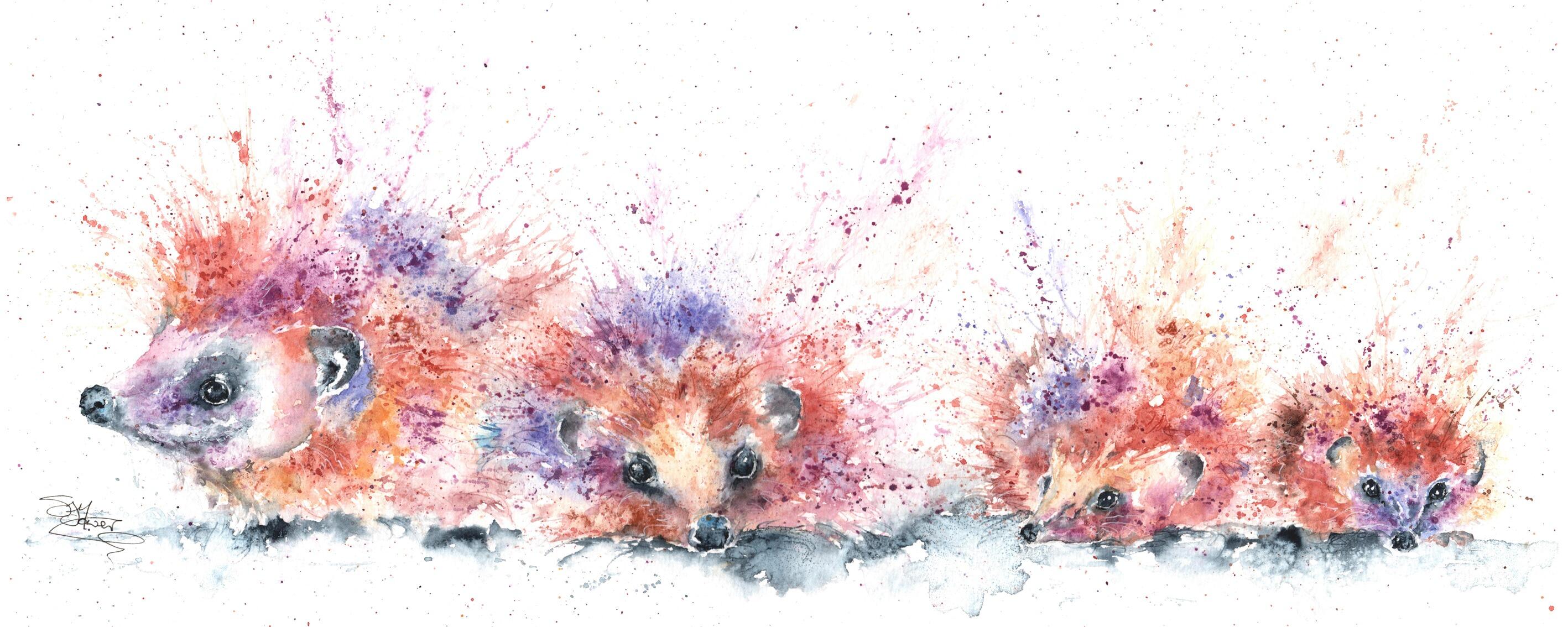 hedgehogs watercolour