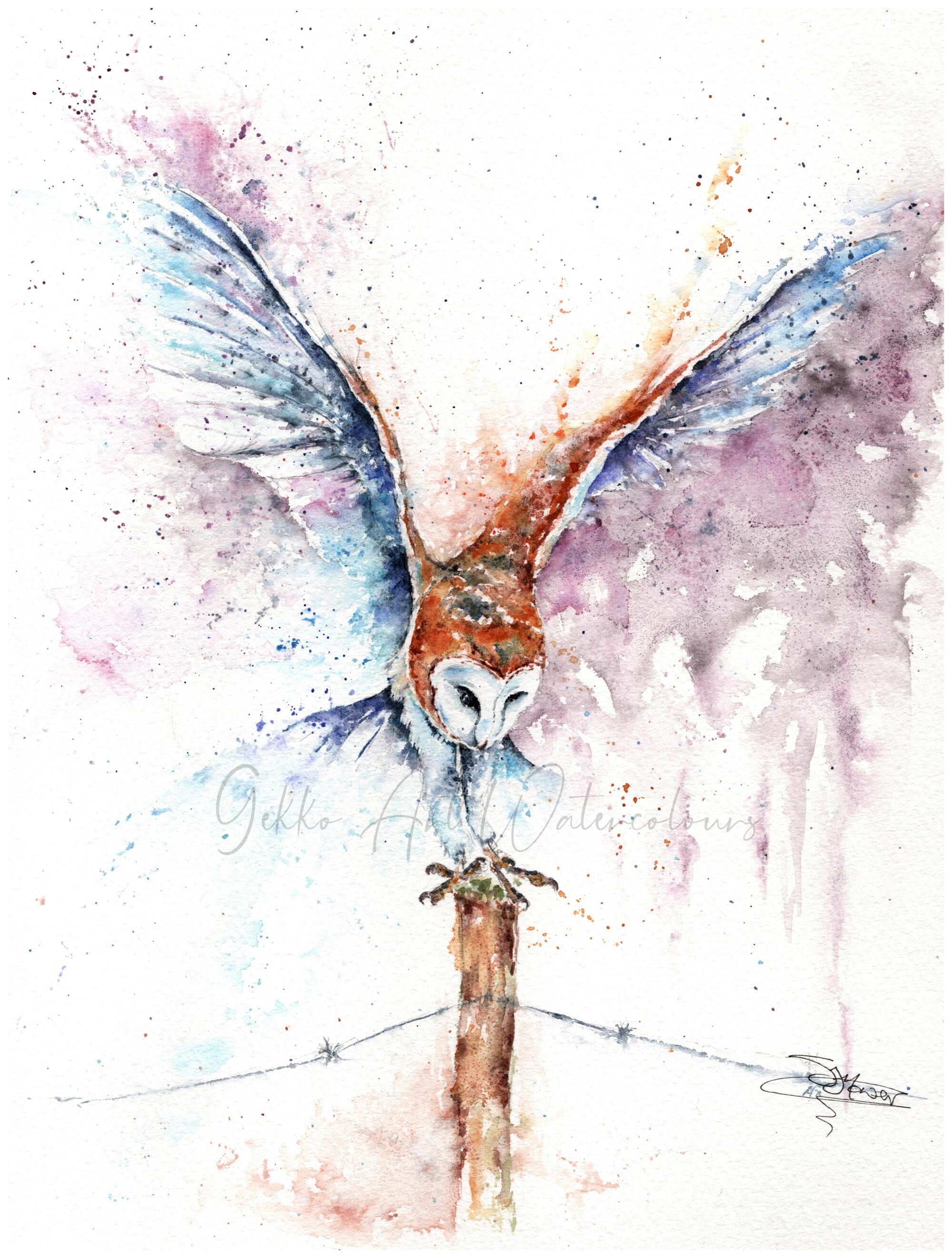 barn owl watercolour print