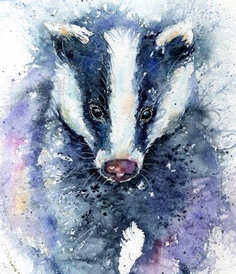 badger watercolour