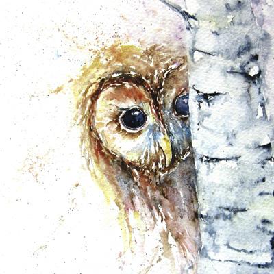 tawny owl watercolour painting
