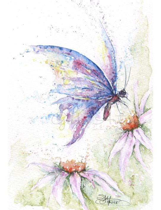 butterfly watercolour