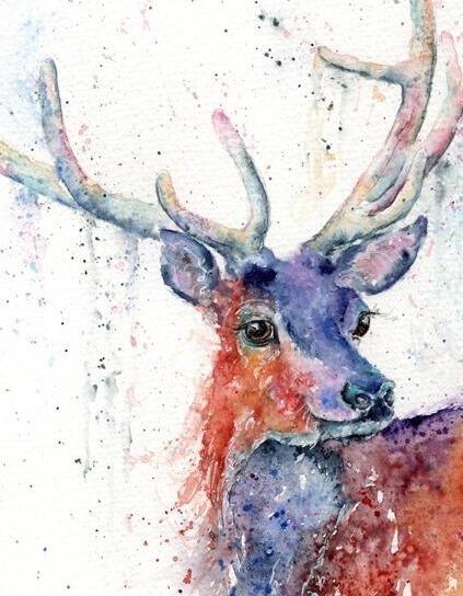 stag bashful close up