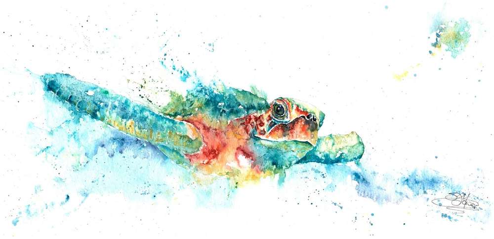 Gekko Art Wildlife Paintings By Watercolour Artist Sandi Mower