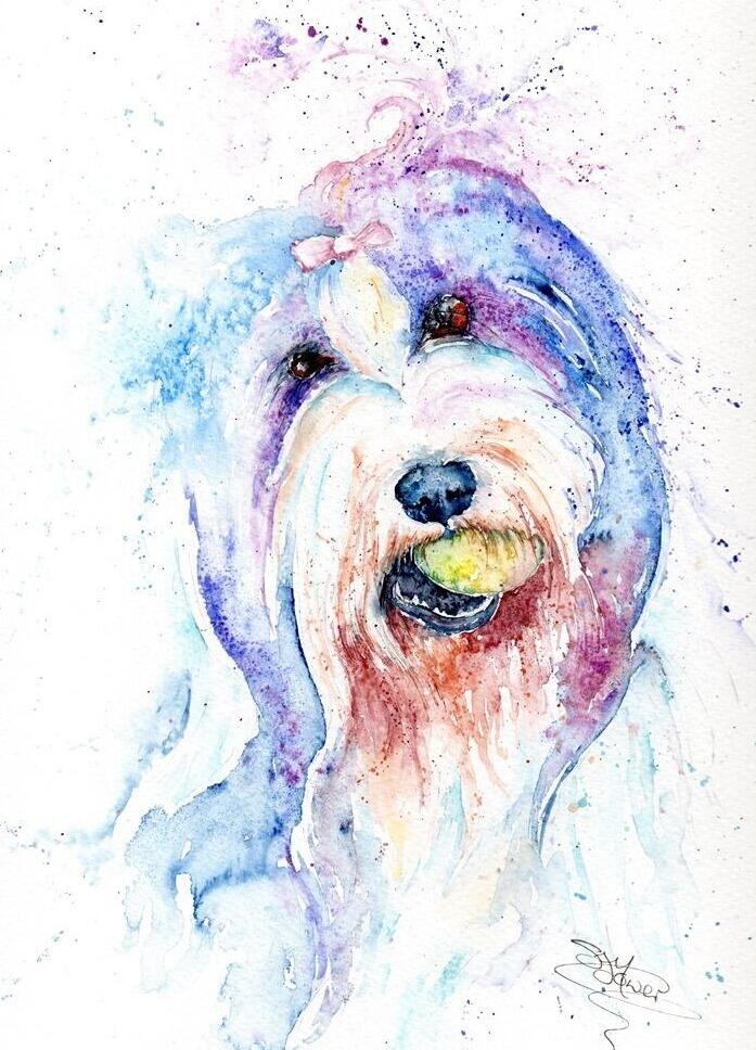 bearded collie painting