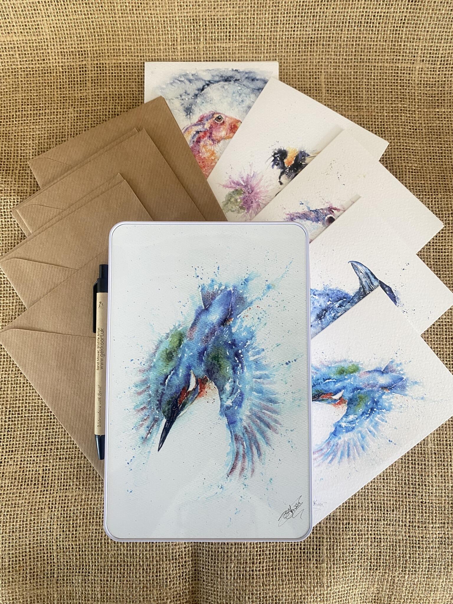 kingfisher cards and tin