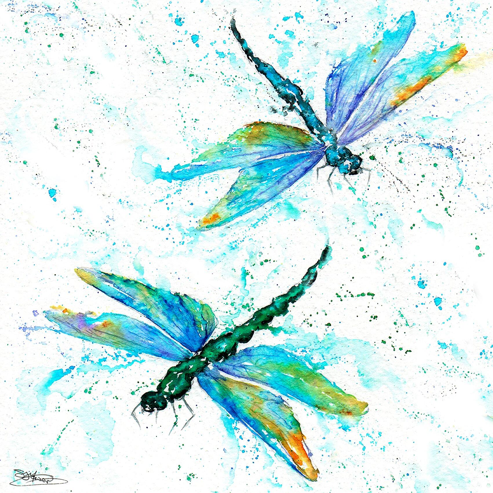 60cm square dragonfly splashback