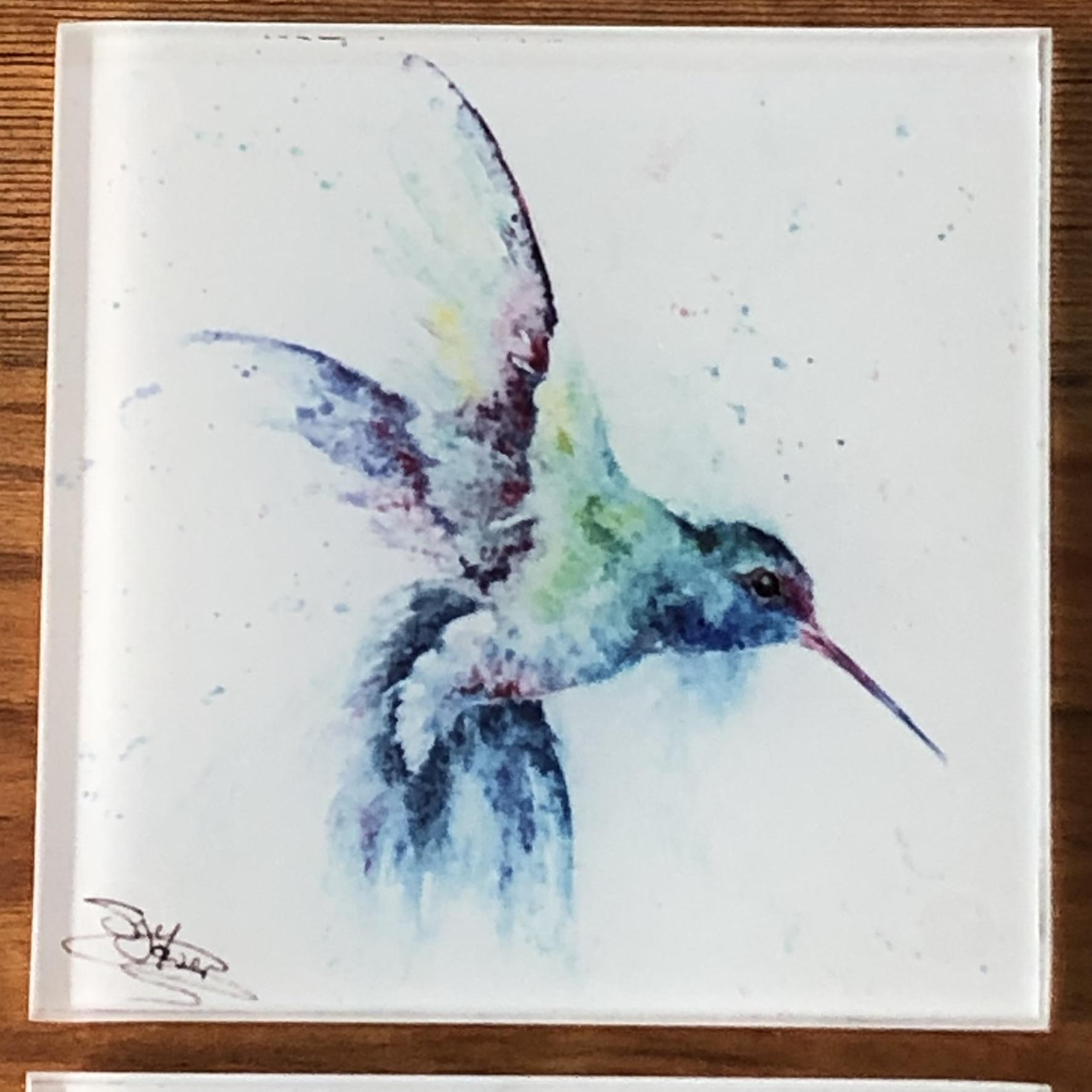 broad-billed hummingbird coaster