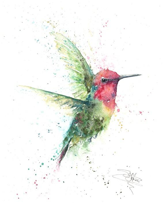 Anna's Hummingbird