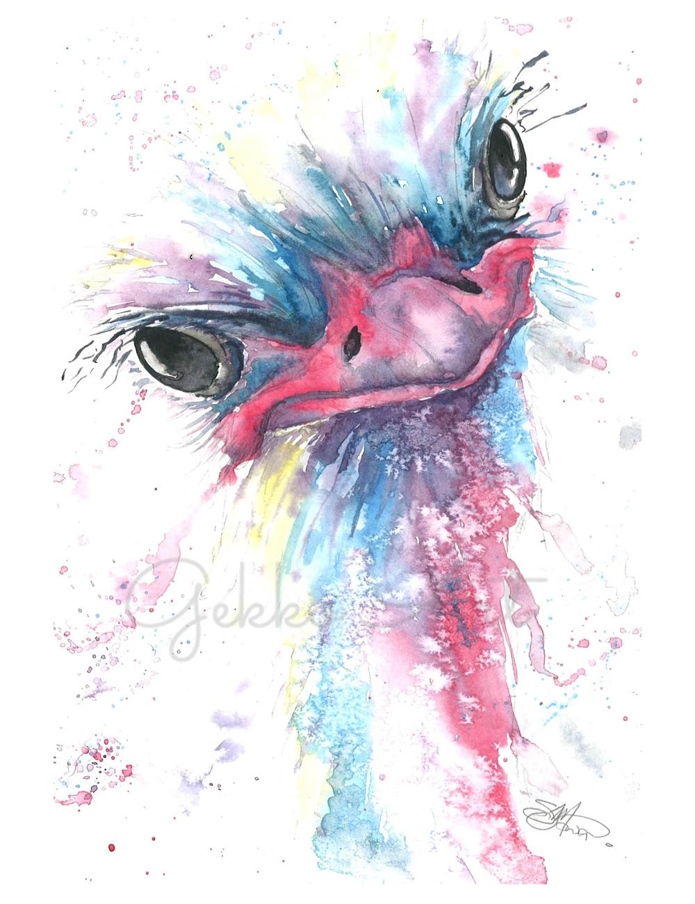 ostrich watercolour