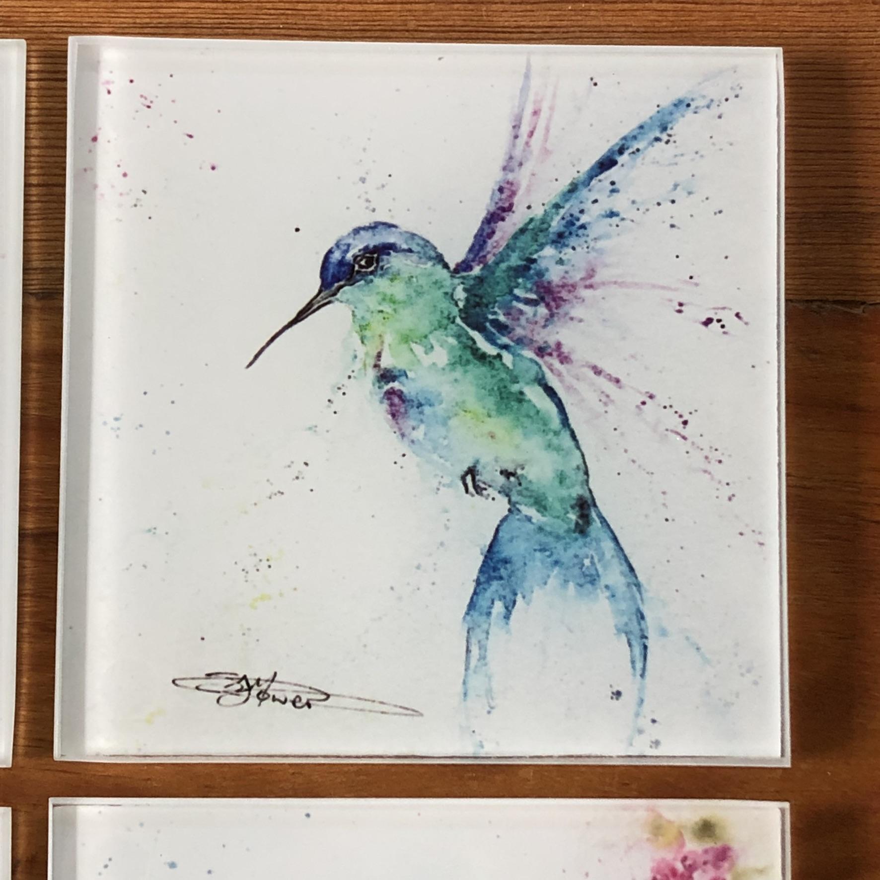 purple chested hummingbird coaster