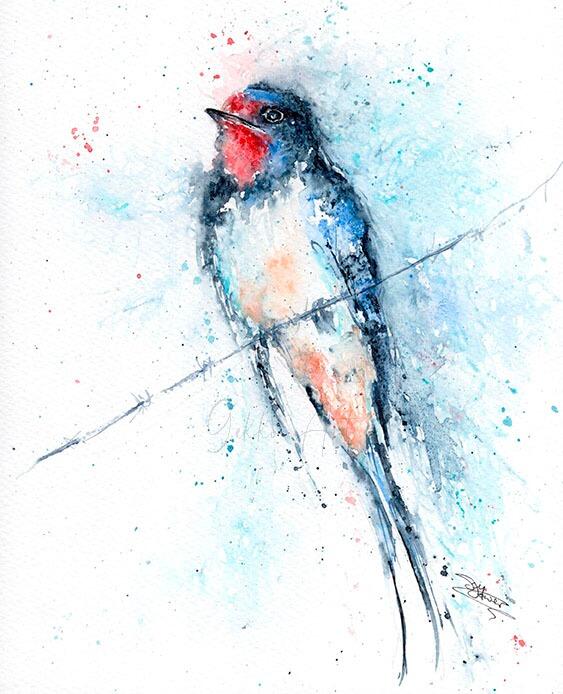 swallow watercolour