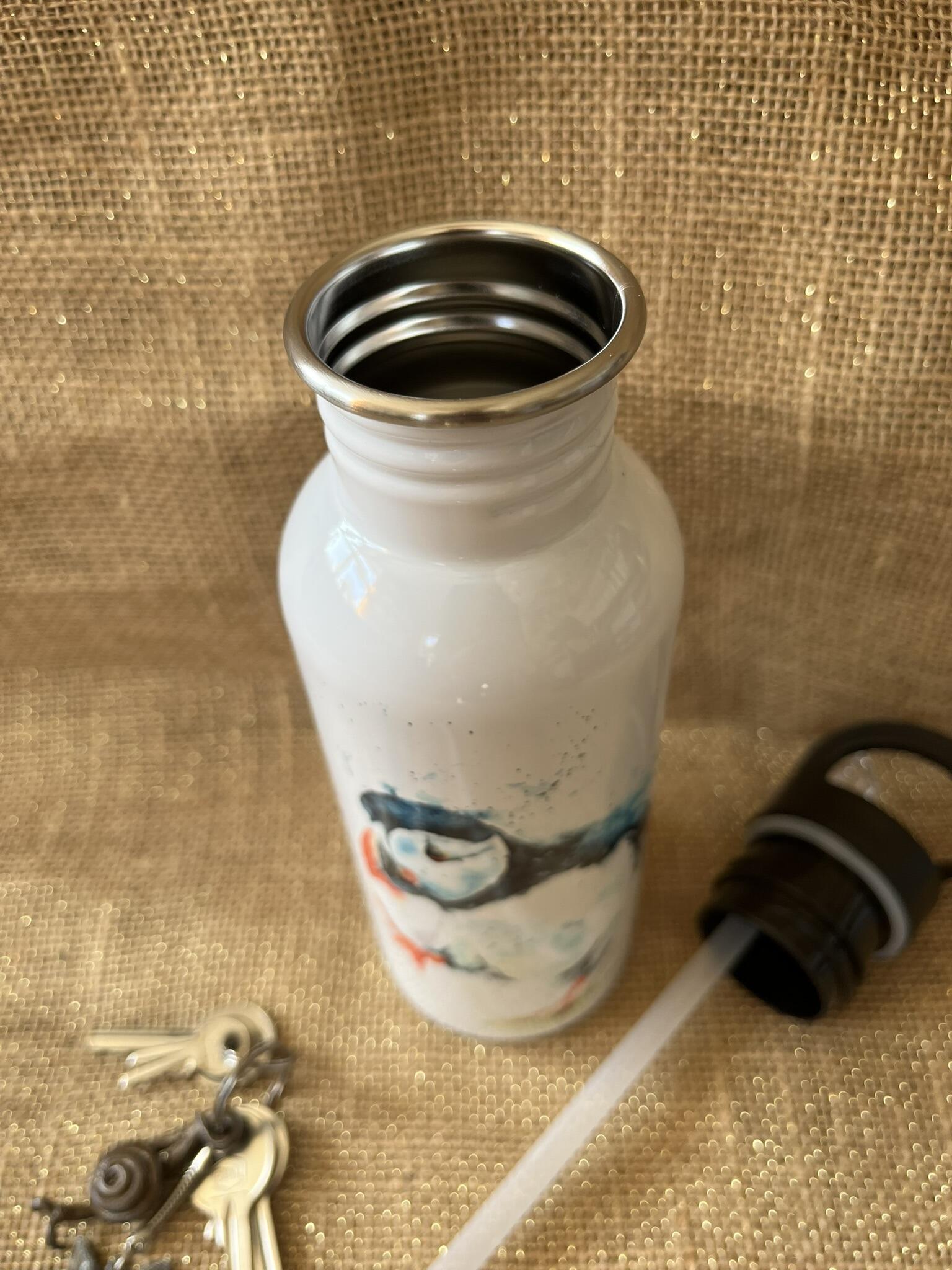 stainless steel bottle