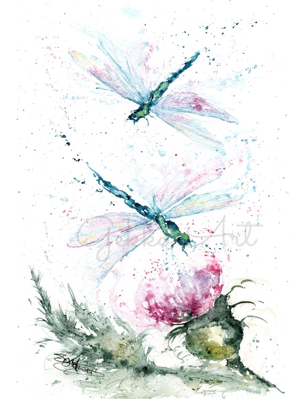 Dragonflies And Thistle Watercolour Print Wildlife Artist Sandi Mower