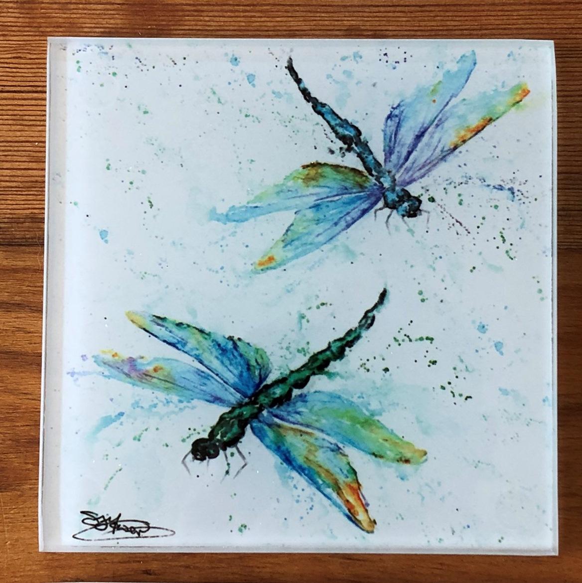 dragonfly coaster